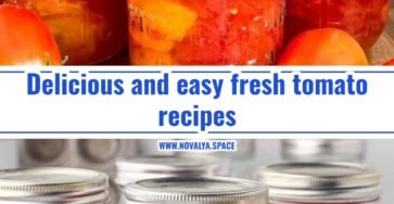 Best fresh tomato recipes for summer harvest