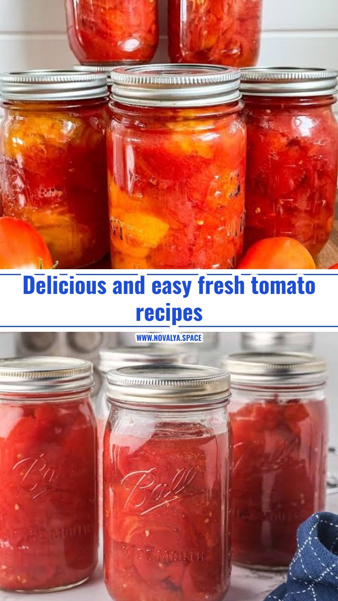 Best fresh tomato recipes for summer harvest