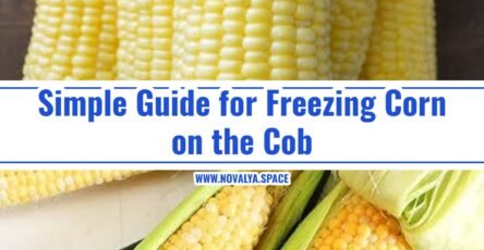 How to Freeze Corn on the Cob the Easy Way