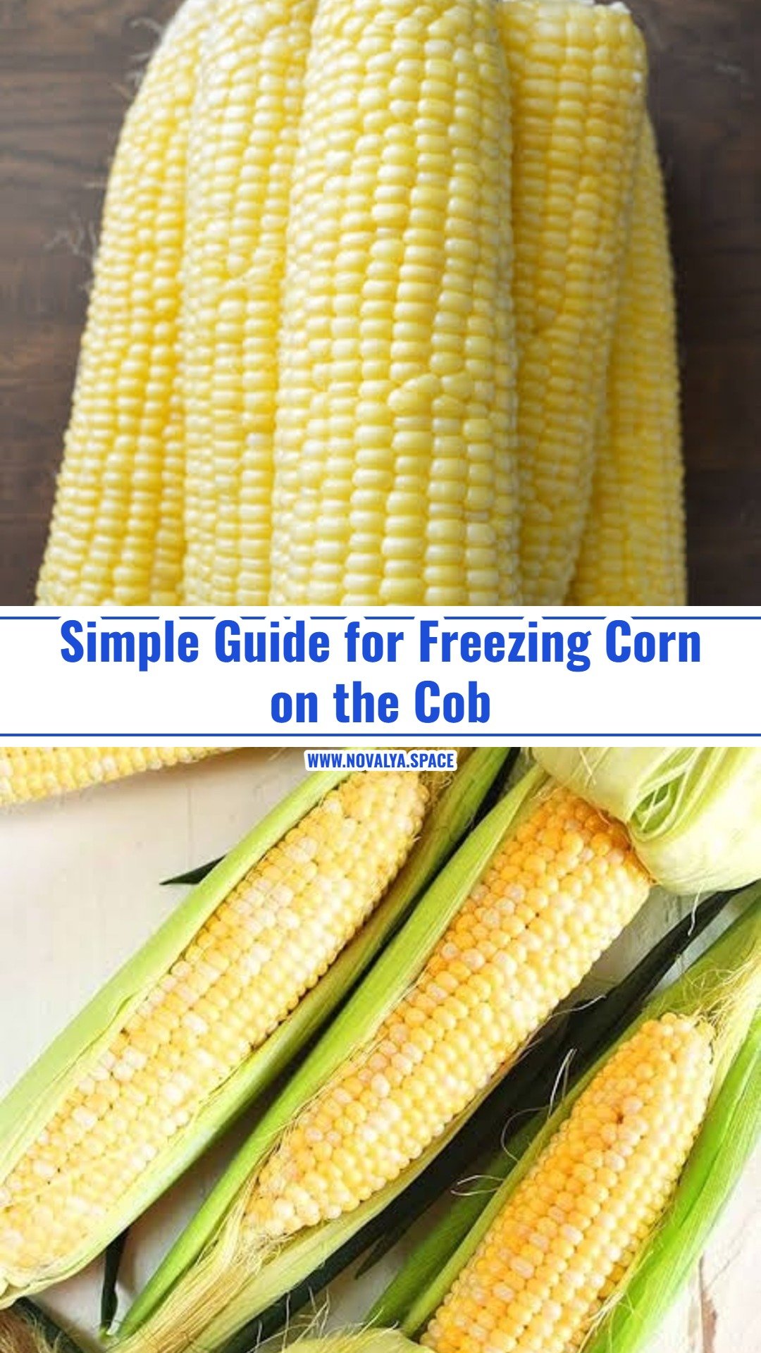 How to Freeze Corn on the Cob the Easy Way