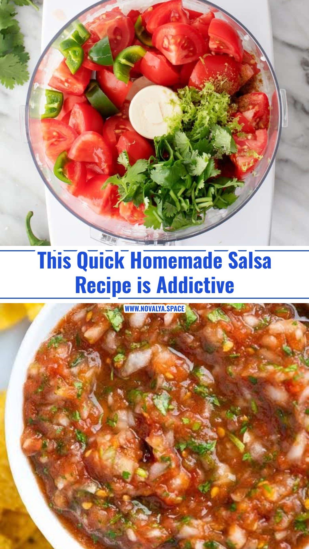 The Best Homemade Salsa You Will Ever Make