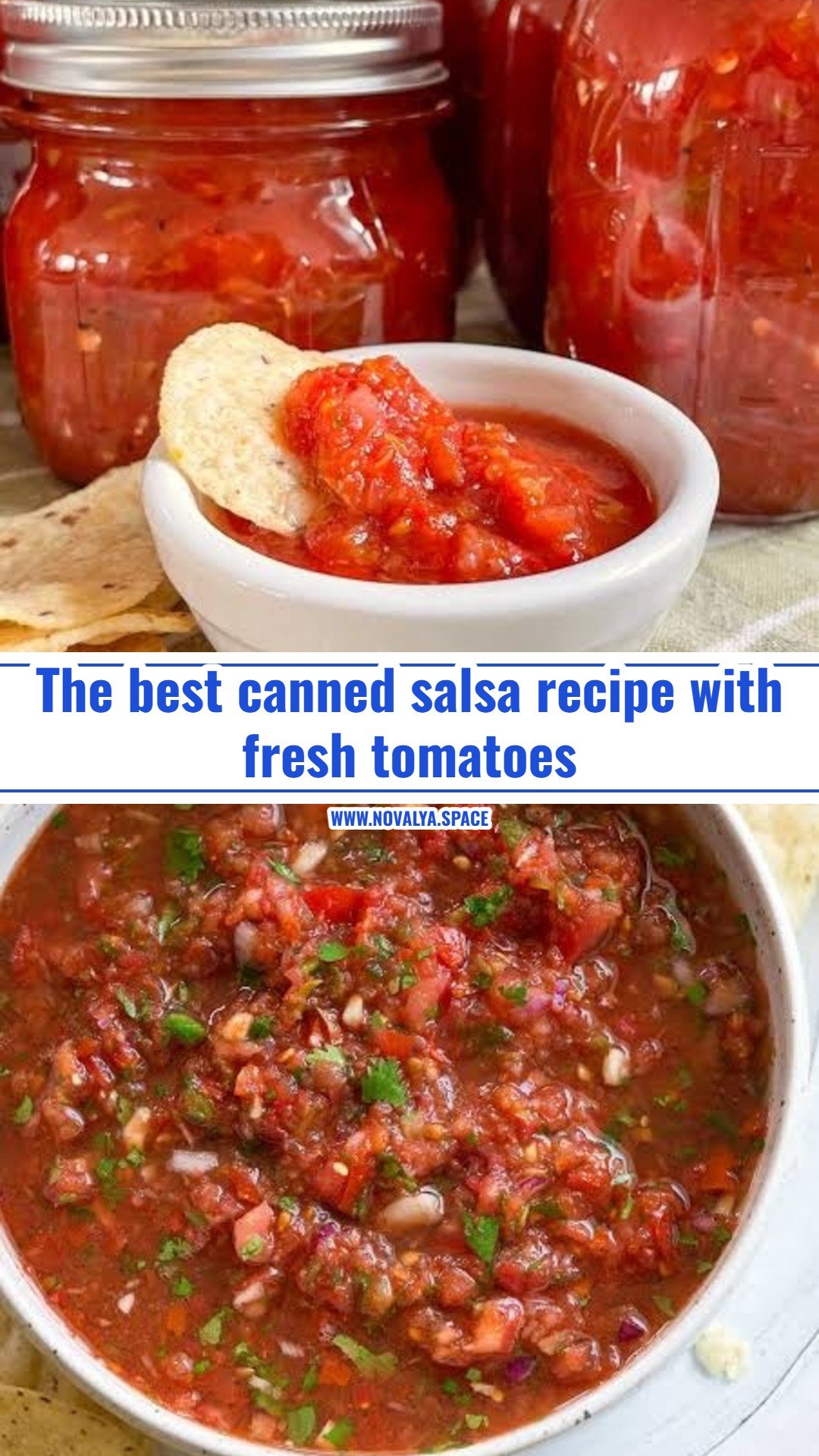 Best canned salsa recipe with fresh tomatoes
