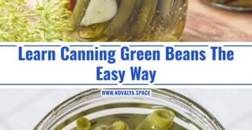 Easy Dilly Beans Recipe For Beginners