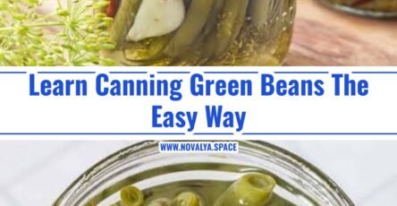 Easy Dilly Beans Recipe For Beginners