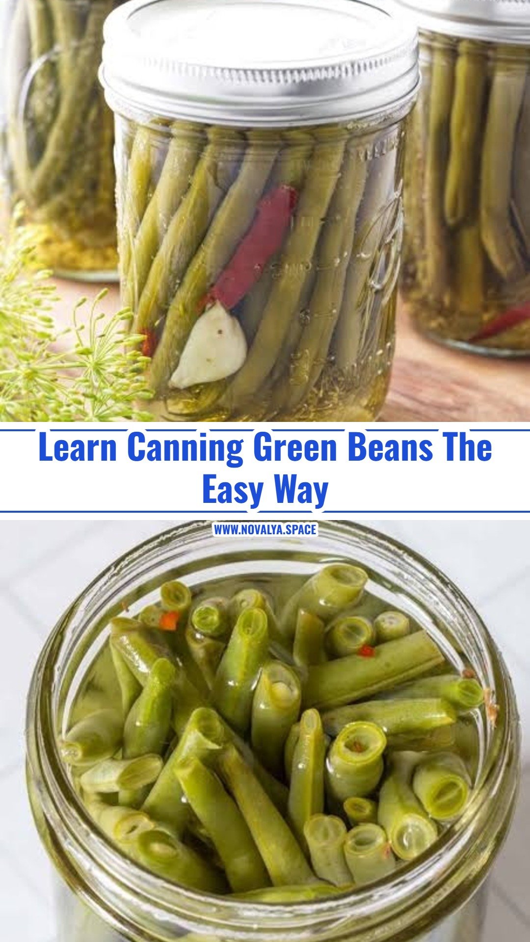 Easy Dilly Beans Recipe For Beginners