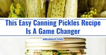 Easy Homemade Pickles You Will Make Every Year