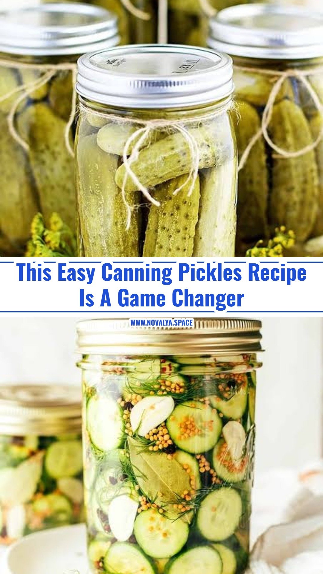 Easy Homemade Pickles You Will Make Every Year